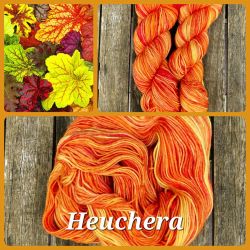 Heuchera - High Twist - (4-fdig)