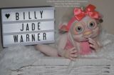 Billy-Kit - Jade Warner - Top Angebot (Letzter!)