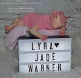 Lyra Baby Drache Kit- Jade Warner - Top Angebot (Letzter!)